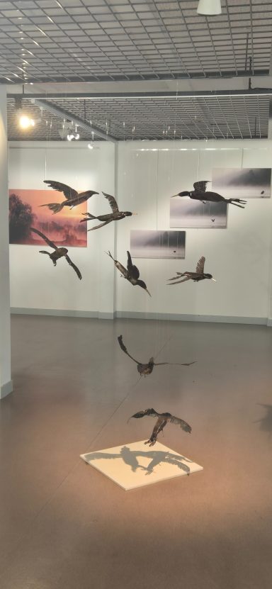 Vol de Sternes Sculpture suspendue de huit sternes en métal, accrochées par des fils, donnant l’illusion d’un vol figé dans l’air.